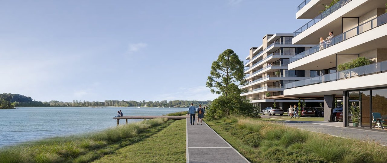 Rowing, a orillas del lago