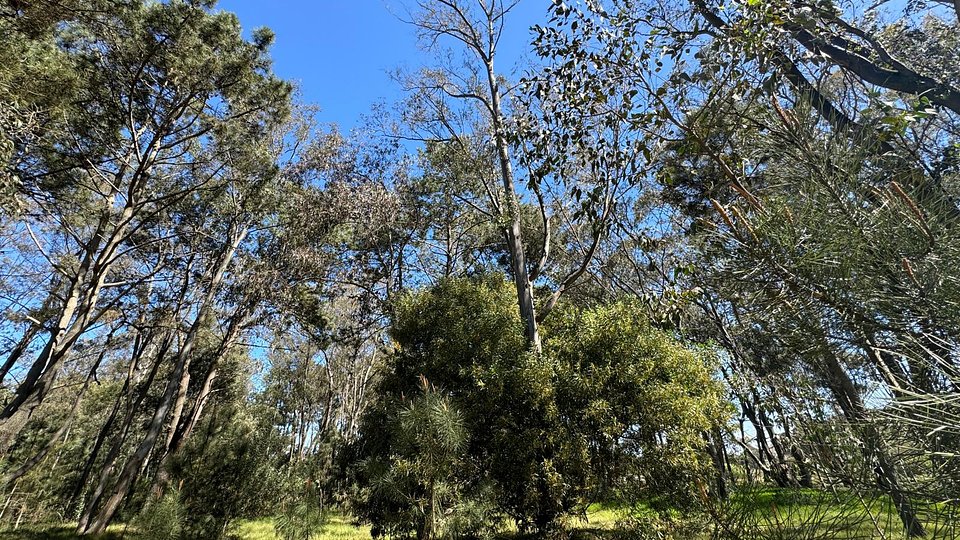 Terreno en Barra Verde